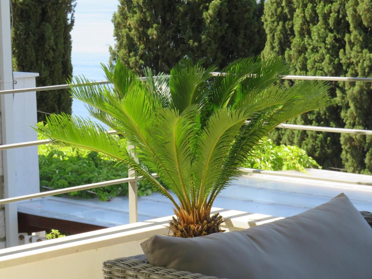 Villa King Dubrovnik Eksteriør billede